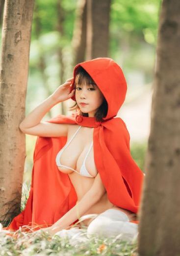 与凤行电视剧免费观看在线播放