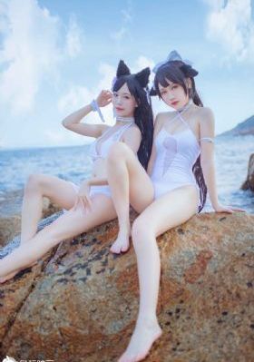 大提琴老师