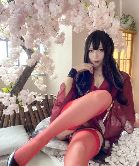手机电视免费版