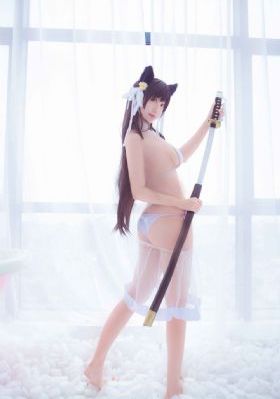 免费的视频